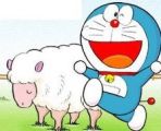 꼶£Ӧ